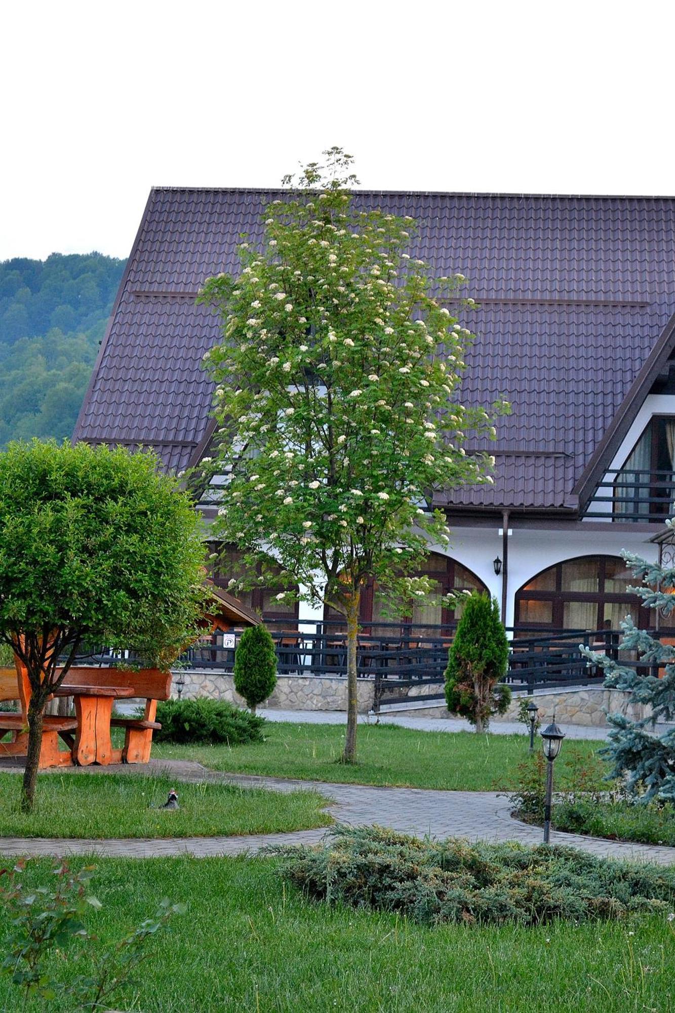 Poiana Rasnoavei Hotel Risnov Exterior photo